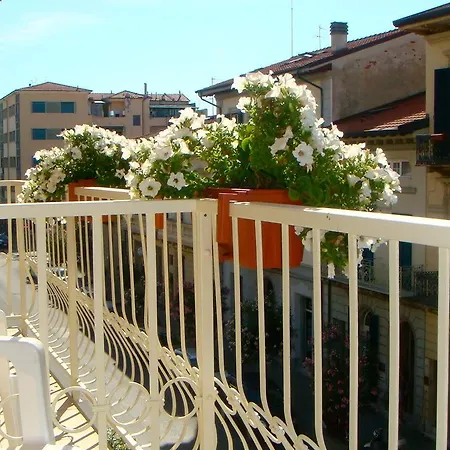 I 4 Assi Viareggio