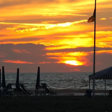 I 4 Assi * Βιαρέτζιο